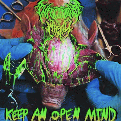 Keep an Open Mind